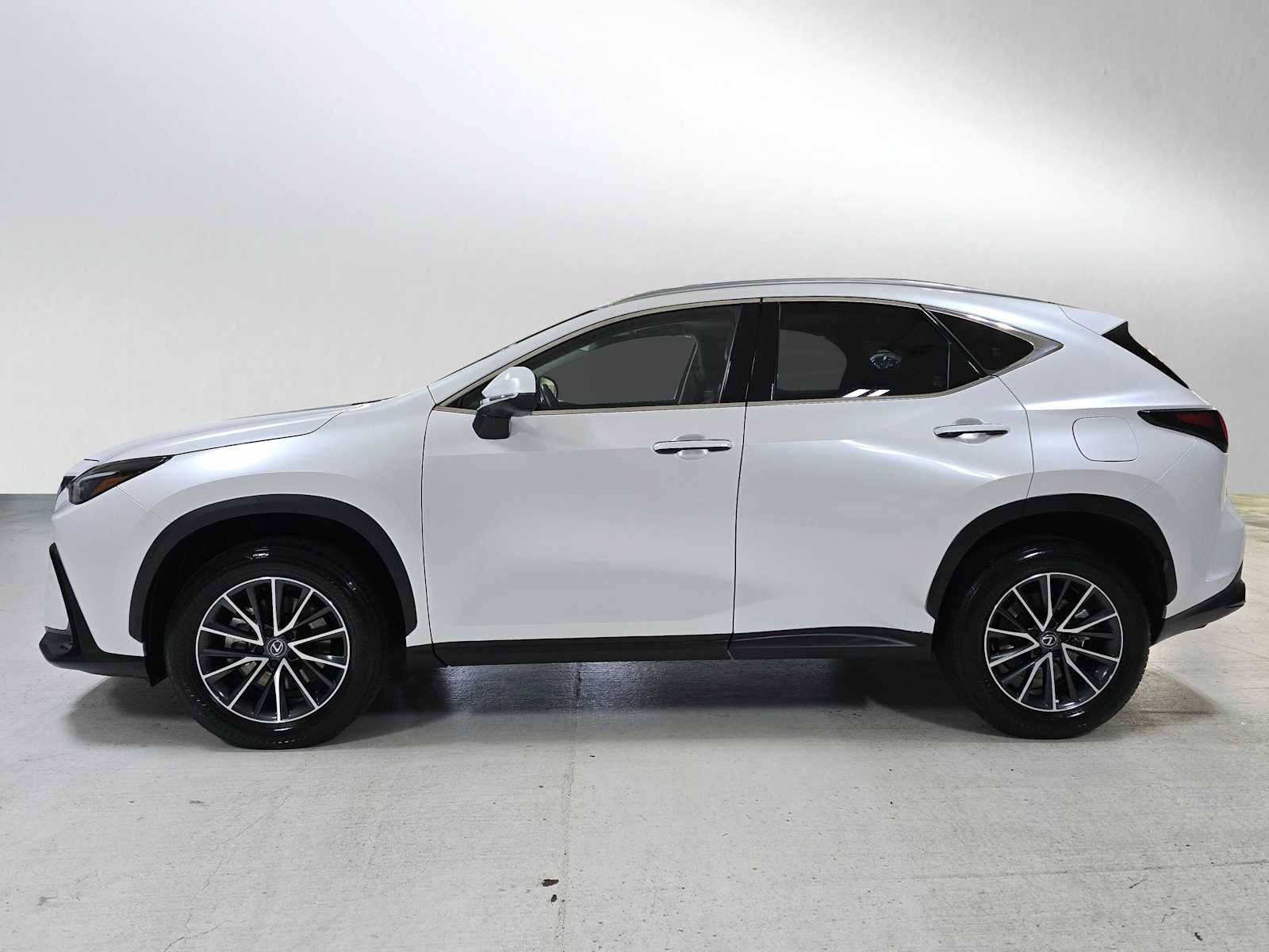 2024 Lexus NX Premium