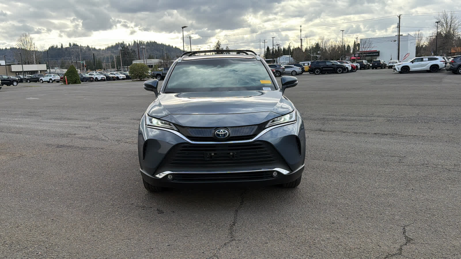 2024 Toyota Venza XLE