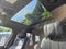 2019 Land Rover Range Rover V8 Supercharged SWB